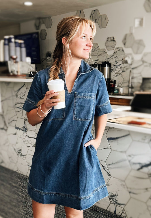 Karla Denim Dress